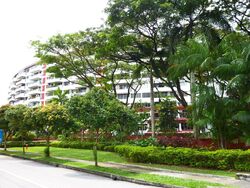 Clementi Park (D21), Condominium #577176911